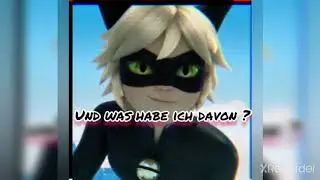 Was wäre wenn Ladybug und Chat Noir Unterstützung bekommen hätten?#2