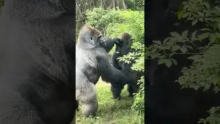ЗАРПЛАТА ОХРАННИКА ЗА ОДИН ДЕНЬ😱 
