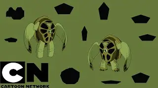 EVERY TERRASPIN TRANSFORMATION!!