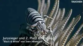 Die Sieger aus dem Leserfoto-Voting im Januar 2013