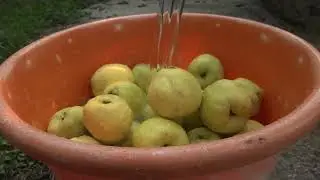 LEARN TO MAKE QUINCES JAM EASILY AT HOME