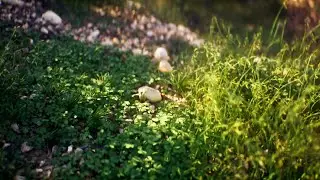 Ravine | Houdini - Unreal Engine Environment | Unreal Engine 5.7