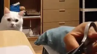 Лазарет для игрушки