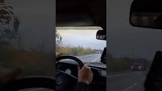 Volvo - Mersedes.