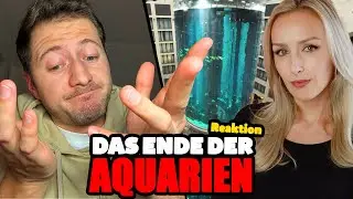 AQUARIANER reagiert auf Alicia Joe 