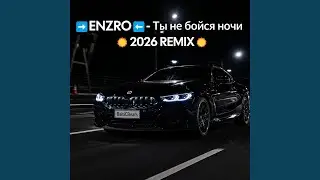 Ты не бойся ночи BaltiCBeatS (ReMIX)