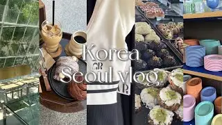 【ソウル最新情報🇰🇷】最新トレンド内容盛りだくさん|これであなたも韓国上級者🌛♡