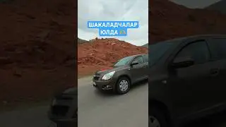 #akambulasiz