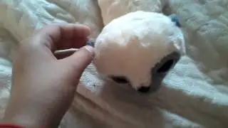 Я на учебники одиваю обложки