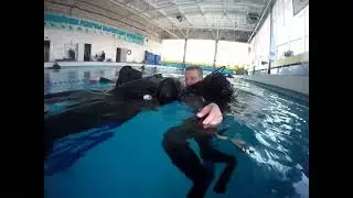 Тренировка в оказание помощи аварийному Водолазу
