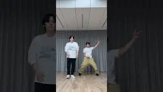 Stray kids 