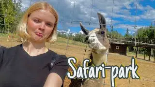 Сафари парк | Влог