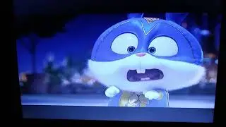 Opening To A Dog's Journey 2019 DVD