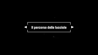 Il percorso delle lucciole