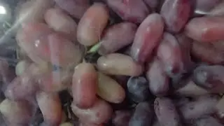 Таджикский Виноград сорт Президент наконецто в рынке ураа это Фуд - Сити 👌👍🏻🛎👈🍇🍇🍇🍇🍇🍇🍇🍇🍇