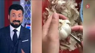 Сеть покоряет видео о том, как легко почистить чеснок