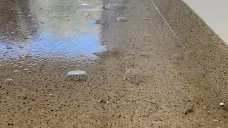Epoxy Floor Failure/ Moisture Remediation/How To Fix/Moisture Barriers/ 