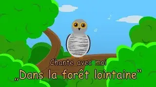 Dans la forêt lointaine comptine - Coucou hibou - Chansons pour enfants