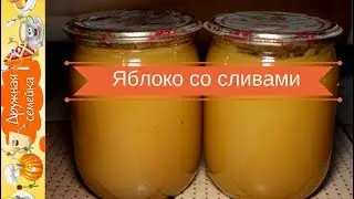 Apple and Plum Puree/Baby Food