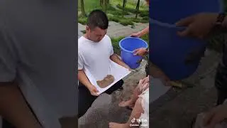 Hitoyning yna bir ihtirosi