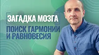 Загадка мозга | Поиск Гармонии и равновесия