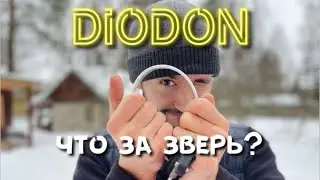 Долгожданная ЭВОЛЮЦИЯ в СКЛАДНЫХ ПЛАВНИКАХ ⁉️ Туринговый складной плавник DIODON 🤙🏼