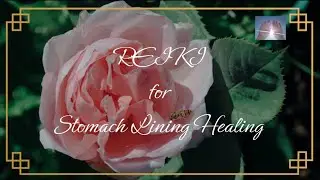 Reiki for Stomach Lining Healing | Timeless Energy Healing