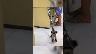 Лучшие Приколы 2023 Часть 21