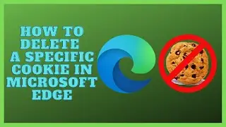 How to Delete a Cookie from a Specific Site In Microsoft Edge