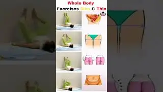Whole Body Exercises For Slim & Thin Body