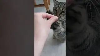 #Утром