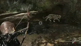 Enginator | Shadow Of The Tomb Raider | Lara vs Jaguar
