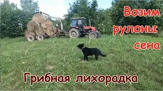 Возим рулоны сена на хутор.Грибная лихорадка.
