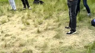 MOV00889