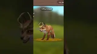 ХАХАХПХПХХП