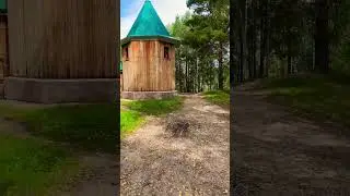 #медитация #nature #окунево #путешествия #природа