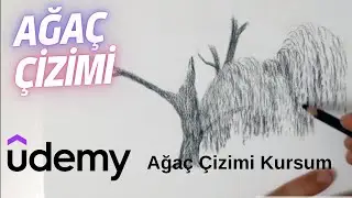 UDEMY'deki En Özel Kurslardan biri: Ağaç Çizimi Kursum