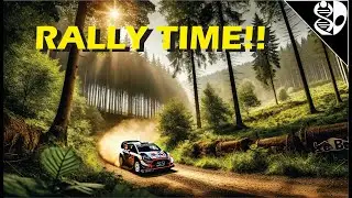 POV - Rally - Sim Motion System.