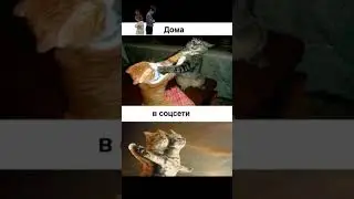 Соцсети