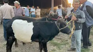 БУКА БОЗОРИ РЕГАР БОЗОРИ ШАНБЕ МОЛИ МАЙДА КАЛОН ФАРБЕ 24 августа 2024 г.