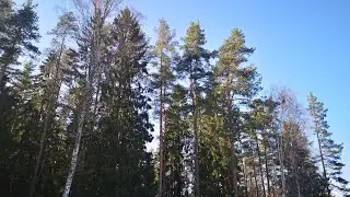 Проведали как там наша дача