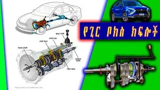 የጊር ቦክስ ወይም ካምቢዩ ክፍሎች how gearbox works. 