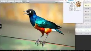 Adobe Acrobat X bemutató