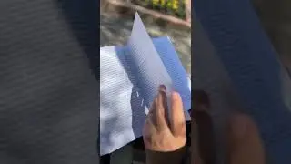 Бұқар жырау Қалқаманұлының туғанына 355 жыл