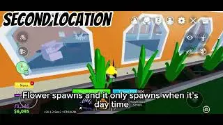 All red flower locations in Blox fruits