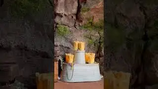 Tiana’s Bayou Adventure in 60 sec #disney #tiana #tianasbayouadventure #magickingdom #disneyparks
