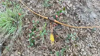 Stumping with my Osage Selfbow