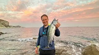 Torik avı palamut avı #bonito #palamut #balıkavı