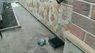 супер цоколь из камня златолит и дагестанский камень, ступени клинкер.