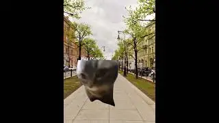 мой страшный сон